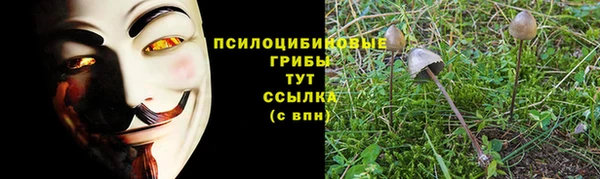 дурь Аркадак
