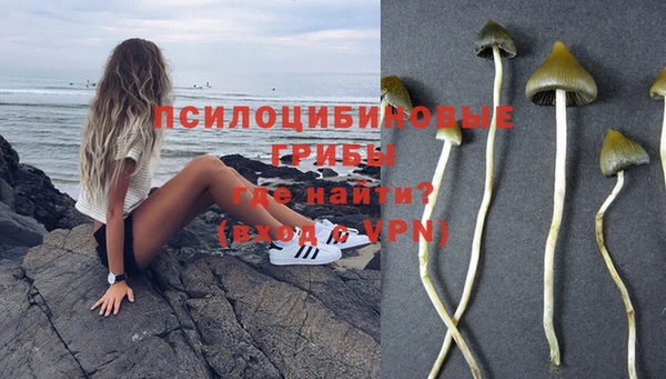 мдпв Арсеньев